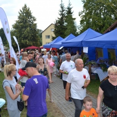 EkoFest w Pleśnej