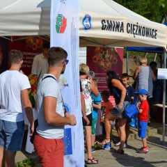Kiermasze na Skamieniałym Mieście dobiegły końca