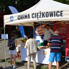 Kiermasze na Skamieniałym Mieście dobiegły końca