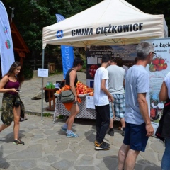 Kiermasze na Skamieniałym Mieście dobiegły końca