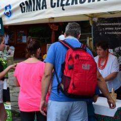 Kiermasze na Skamieniałym Mieście dobiegły końca