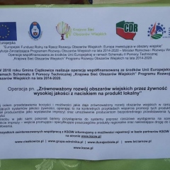Kiermasze na Skamieniałym Mieście dobiegły końca