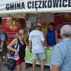 Kiermasze na Skamieniałym Mieście dobiegły końca
