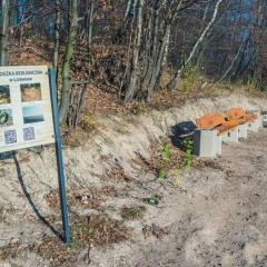 Urokliwa ścieżka geologiczna w Lichwinie