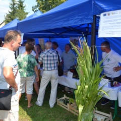 EkoFest w Pleśnej